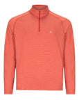 Men's Active Stripe 1/4 Zip - Padel